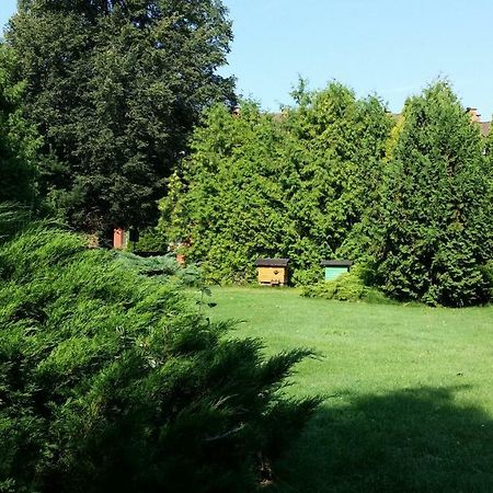 Kwiatowa Zagroda Białowieża Dış mekan fotoğraf