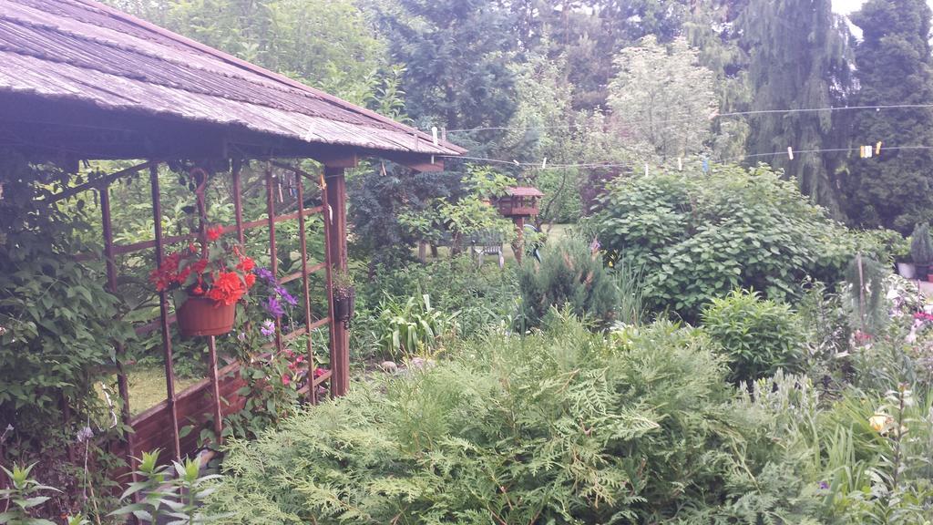 Kwiatowa Zagroda Białowieża Dış mekan fotoğraf