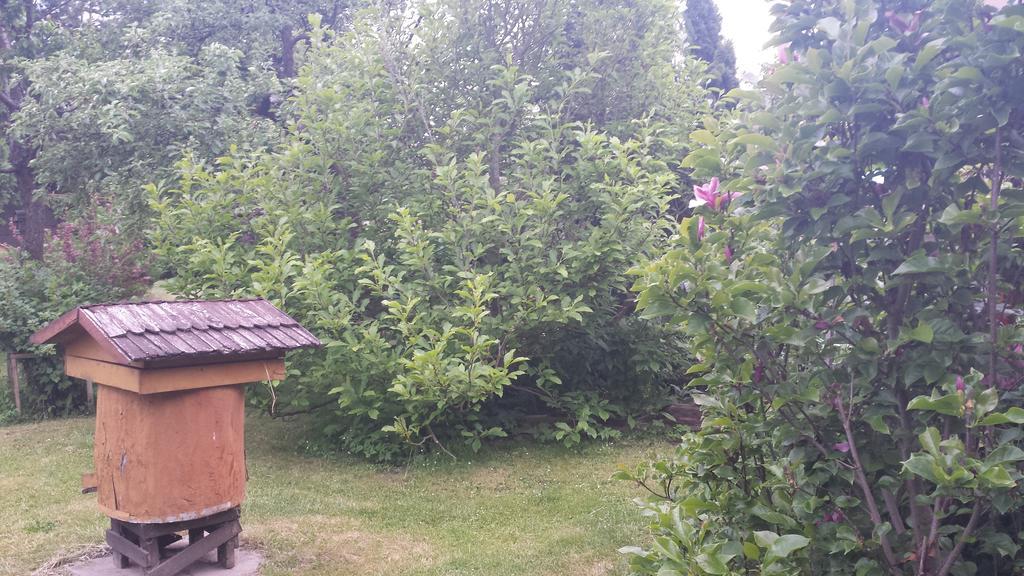 Kwiatowa Zagroda Białowieża Dış mekan fotoğraf