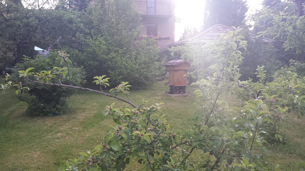 Kwiatowa Zagroda Białowieża Dış mekan fotoğraf
