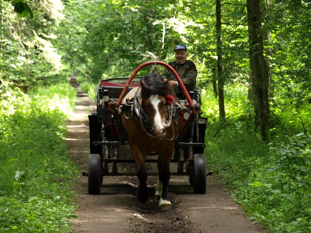 Kwiatowa Zagroda Białowieża Dış mekan fotoğraf