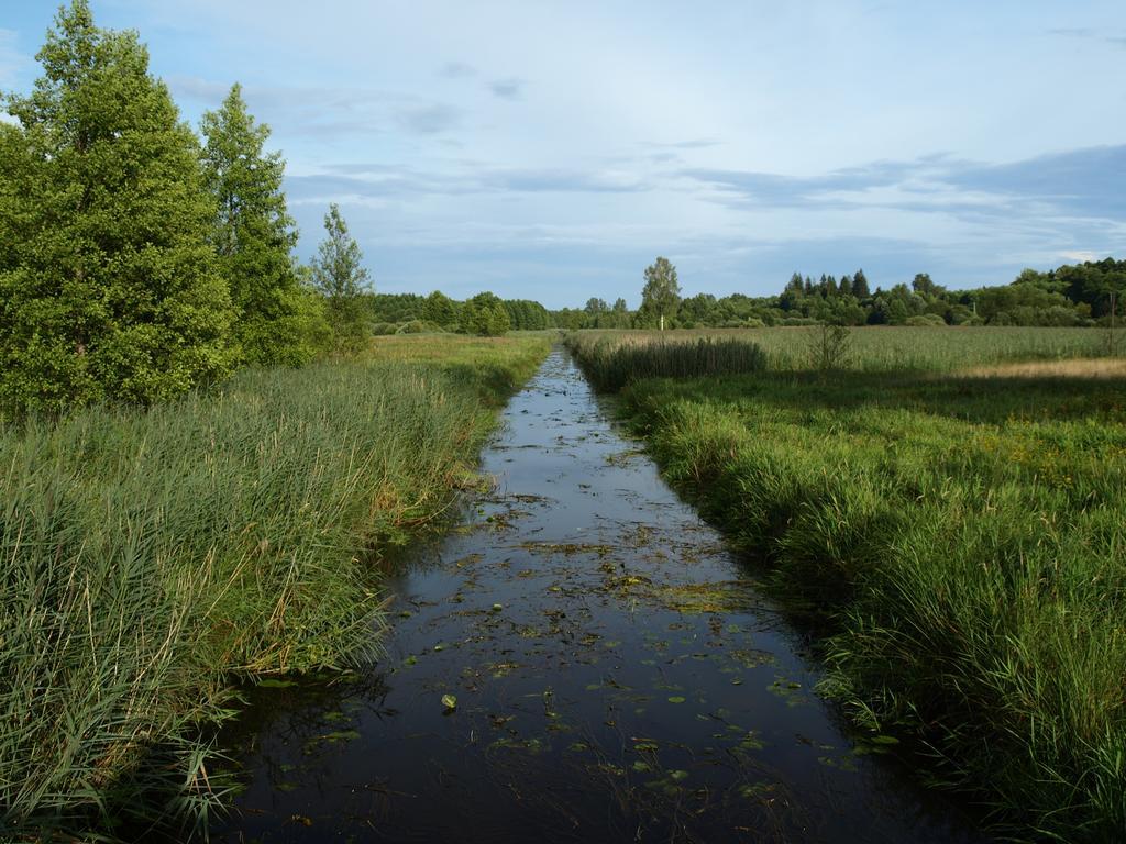 Kwiatowa Zagroda Białowieża Dış mekan fotoğraf