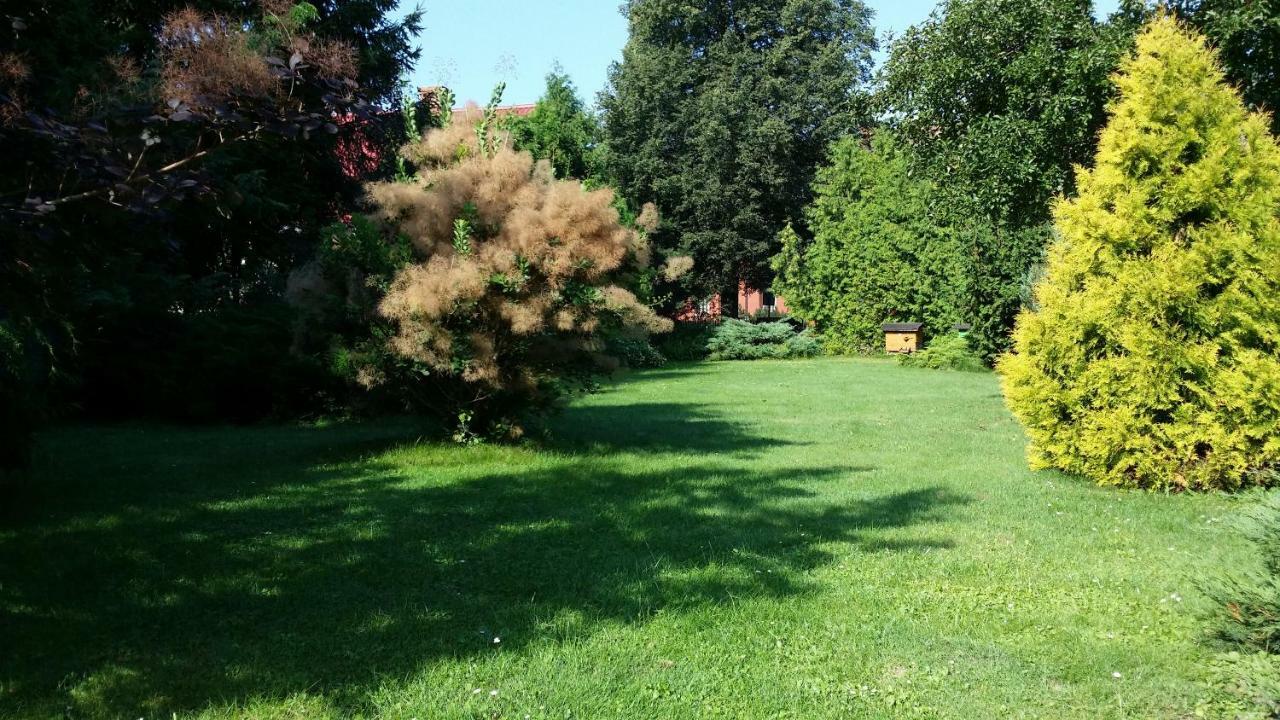 Kwiatowa Zagroda Białowieża Dış mekan fotoğraf