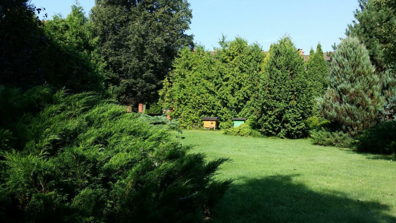Kwiatowa Zagroda Białowieża Dış mekan fotoğraf